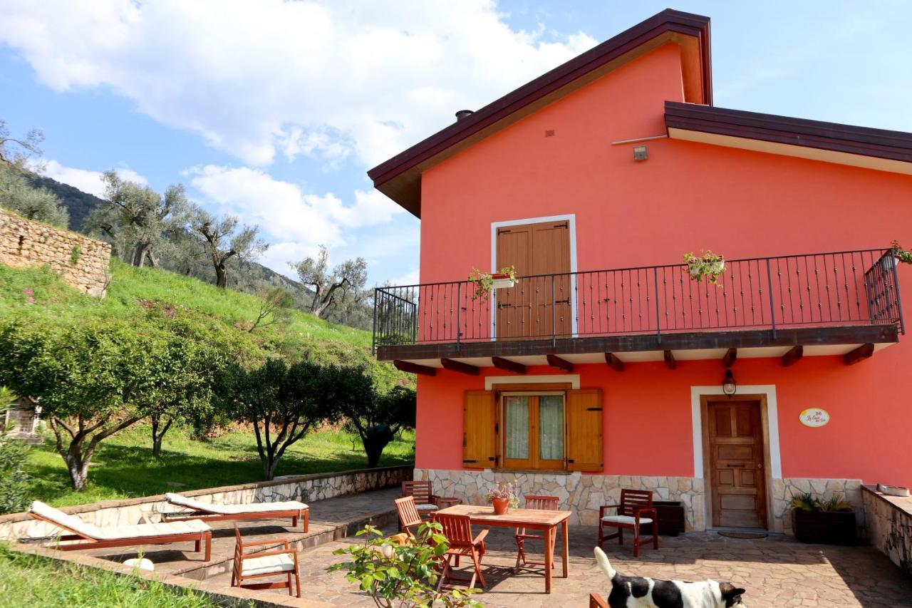 B&B La Casa Del Sole Controne Екстер'єр фото