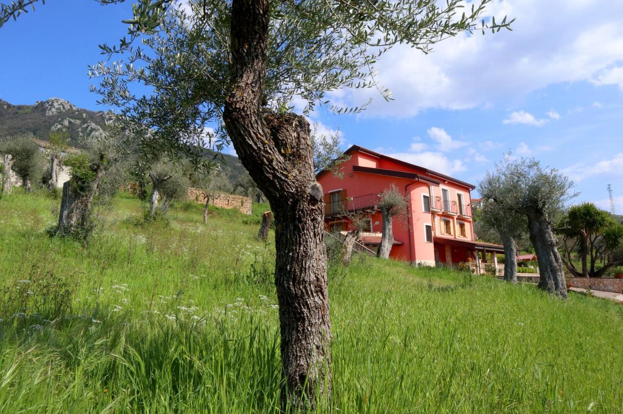 B&B La Casa Del Sole Controne Екстер'єр фото